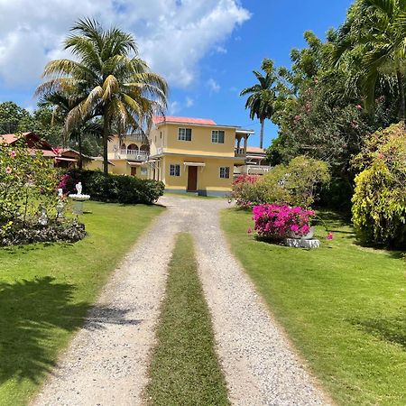 Little Shaw Park Guest House Ocho Rios Ngoại thất bức ảnh