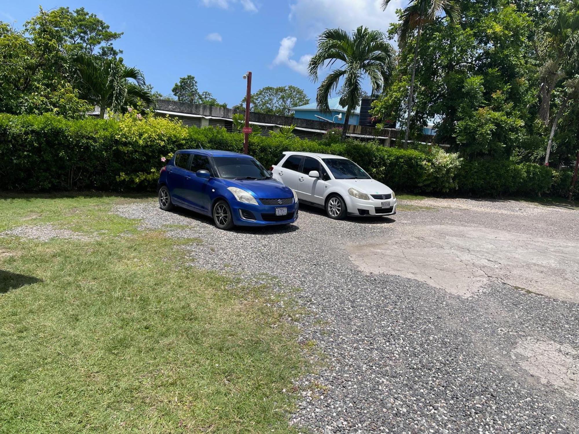 Little Shaw Park Guest House Ocho Rios Ngoại thất bức ảnh