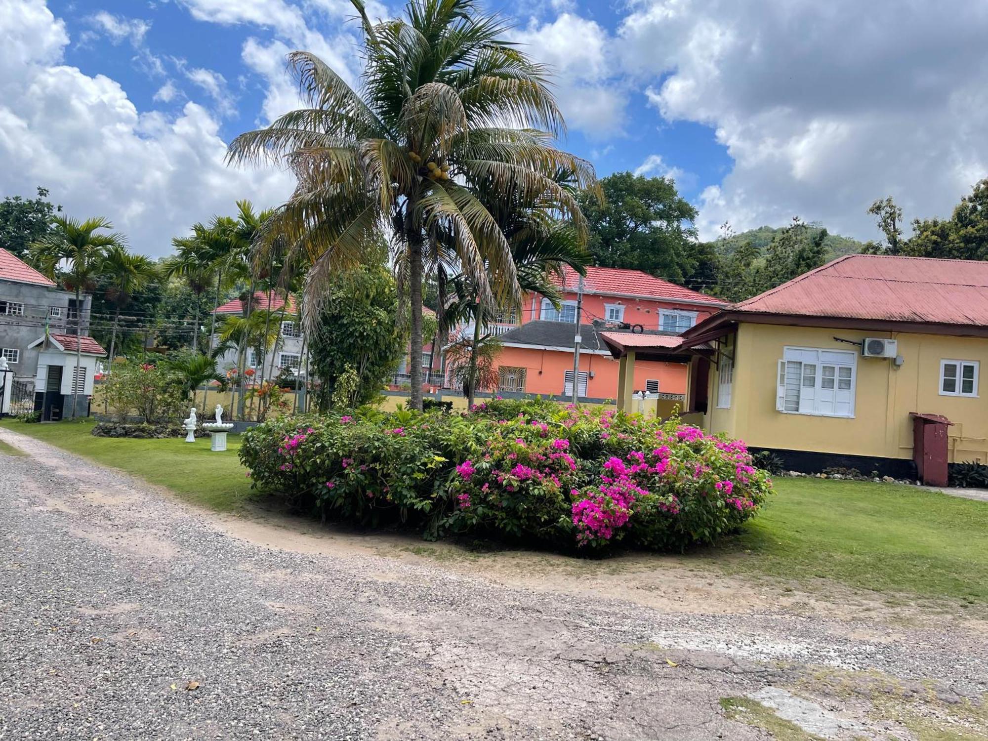 Little Shaw Park Guest House Ocho Rios Ngoại thất bức ảnh