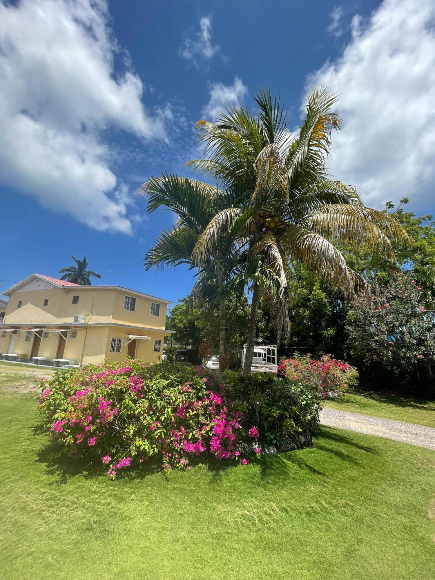 Little Shaw Park Guest House Ocho Rios Ngoại thất bức ảnh